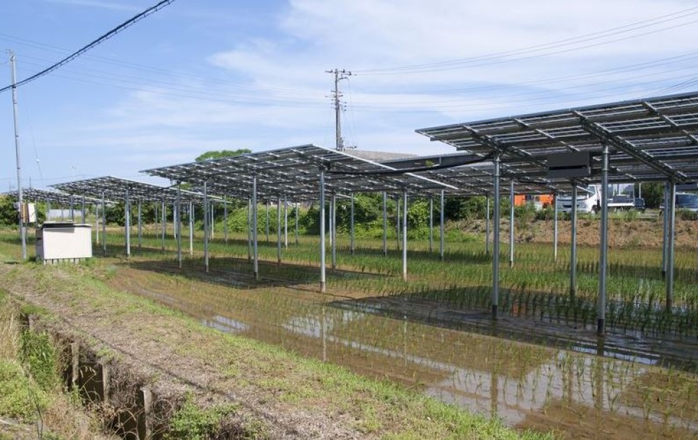 Potencial de energía solar fotovoltaica es mucho mayor en cultivos